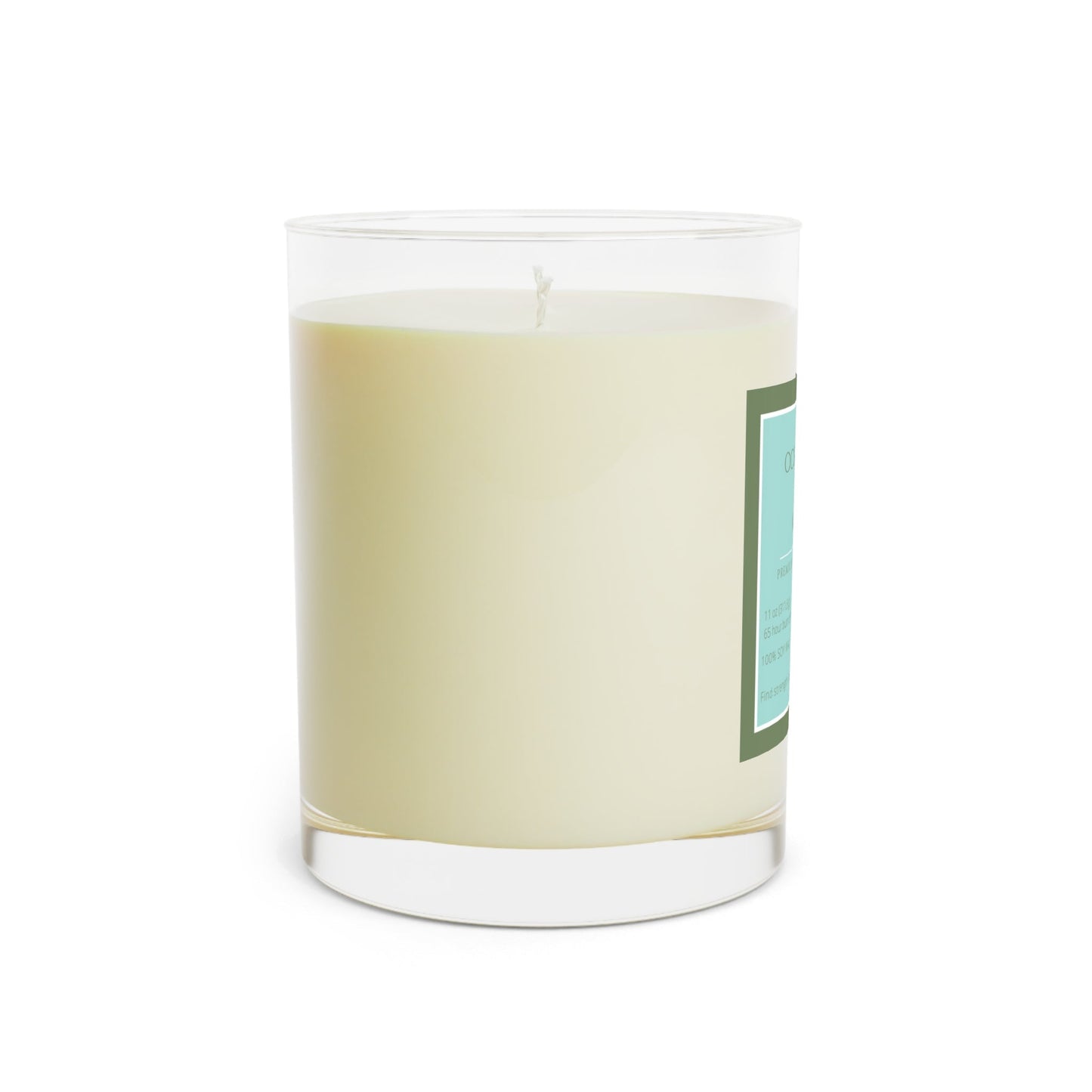 Ocean Mist & Moss Scented Candle - Full Glass, 11oz